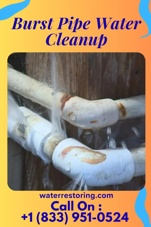 Burst Pipe Water Cleanup in Montello, WI