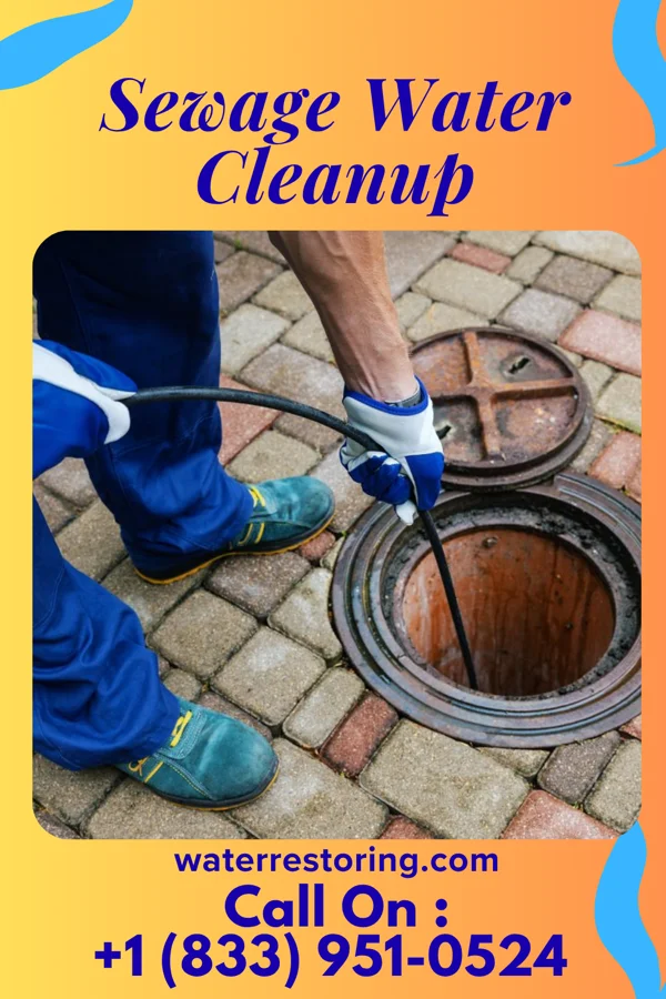Sewage Water Cleanup in Montello, WI